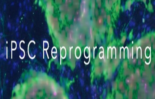 iPSC Reprogramming Kits